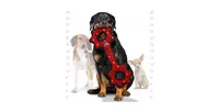 Tuffy Ultimate Tug-o-Gear Red Paw, Dog Toy