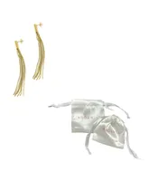 Adornia 14K Gold-Tone Plated Fringe Chain and Crystal Tassel Earrings