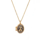 Charged Stone Locket Necklace