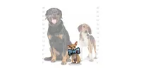 Tuffy Jr Bone Camo Blue, 2-Pack Dog Toys