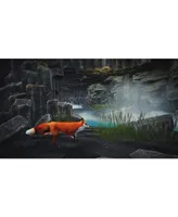 Spirit of The North - PlayStation 5