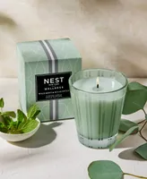 Nest New York Wild Mint & Eucalyptus Classic Candle, 8.1 oz.