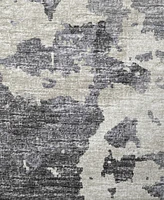 Dalyn Camberly CM2 2'3" x 7'6" Runner Area Rug