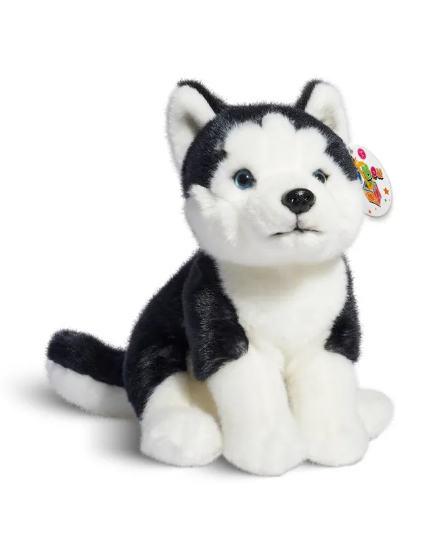 Husky Plush Toy - Realistic Fake Dog from Apollo Box