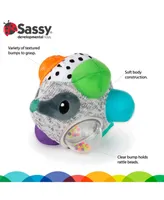Sassy Bumpy Badger Developmental Baby Toy, 0 months plus - Assorted Pre