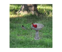 Garden Miniature Cardinal Birdbath