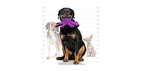 Tuffy Ocean Creature Small Octopus, 2-Pack Dog Toys