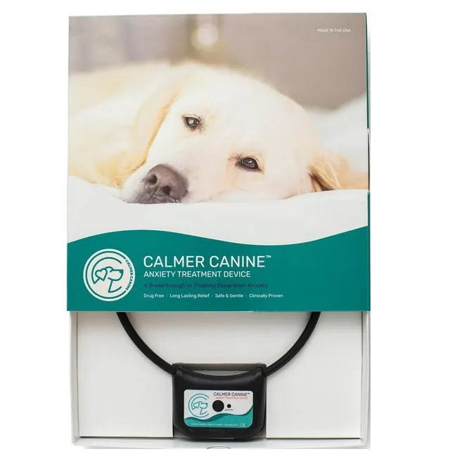 8 Products to Help Ease Separation Anxiety in Dogs