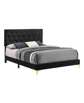 Coaster Home Furnishings Kendall 49.25" Asian Hardwood Tufted Panel Queen Bed