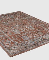 Bb Rugs Novo NOV308 3'6" x 5'6" Area Rug