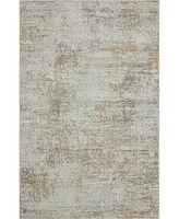 Lr Home Bienne BIENA82283 2' x 3' Area Rug