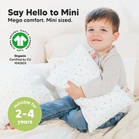 Mini Toddler Pillow and Pillowcase for Crib, 9x13 Small Toddler, Kids Travel