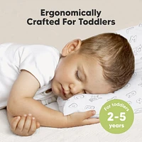 Toddler Pillow with Pillowcase