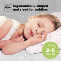 Toddler Pillow with Pillowcase