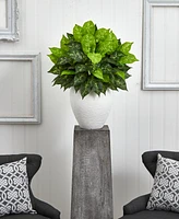 Nearly Natural Dieffenbachia Artificial Plant in White Planter