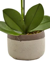 Nearly Natural Artificial Phalaenopsis Orchid in Ceramic Pot
