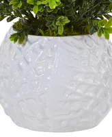 Nearly Natural Boxwood Evergreen Indoor/Outdoor Artificial Plant in White Vase