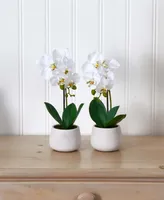 Nearly Natural Phalaenopsis Orchid Artificial Arrangement (Set of 2)