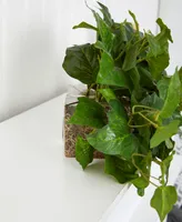 Nearly Natural 24in. London Ivy Artificial Ledge Plant Real Touch