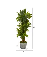 Nearly Natural 58in. Corn Stalk Dracaena Artificial Plant in Black Embossed Tin Planter Real Touch