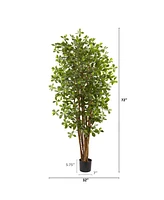 Nearly Natural 6' Black Olive Silk Tree