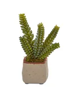 Nearly Natural Mixed Succulent Artificial Plant, Set of 4