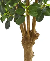 Nearly Natural 3' Panda Ficus Artificial Tree