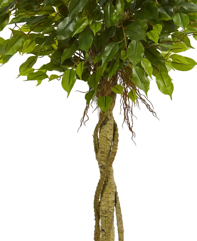 5' Ficus Artificial Topiary Tree; UV Resistant (Indoor/Outdoor), Color:  Green - JCPenney