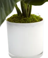 Nearly Natural Spathiphyllum Flowering Peace Lily Artificial Plant in Glossy Glass Planter