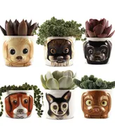 Window Garden Cat Planter Pot - 6 Mini Succulent Kitty Pots - Cute Flower Pots for Indoor Plants - Cat Decor Vase for Cactus, Herb