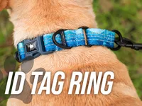 Leashboss Large Martingale Dog Collar