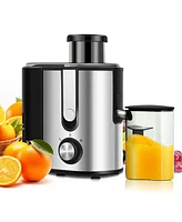 Juicer Machine Juicer Extractor Dual Speed w/ 2.5'' Feed Chute