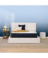 Serta Perfect Sleeper Adoring Night 10.5 Firm Mattress Collection