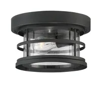 Savoy House Barrett 10" Outdoor Ceiling Light