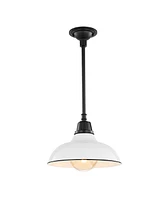 Jasper 12.25" 1-Light Farmhouse Industrial Indoor, Outdoor Iron Led Pendant
