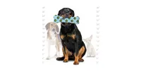 Mighty Bone Blue, 2-Pack Dog Toys