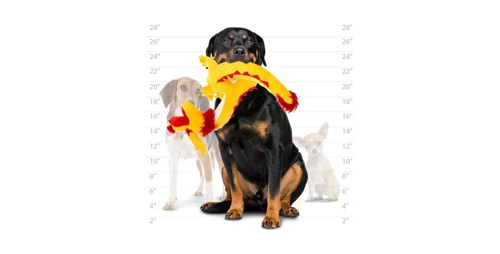 Mighty Dragon Yellow, 2-Pack Dog Toys