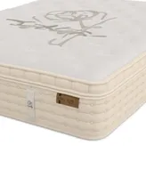 King Koil Natural Azalea Luxury Firm 15.5" HyBrid Mattress