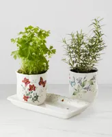 Lenox Butterfly Meadow 3-Piece Herb Pots Tray Set