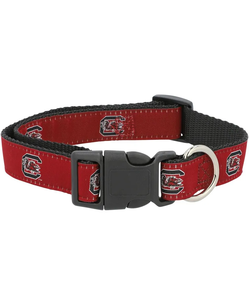 South Carolina Gamecocks 1" Regular Dog Collar