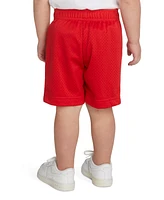 Nike Toddler Boys Essential Mesh Shorts