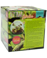 Unique Gardener Glass Terrarium Fly Trap Garden Plant Kit