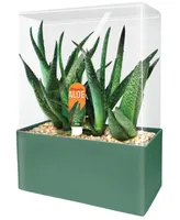 Unique Gardener Seed Squares Altruistic Aloe Plant Kit