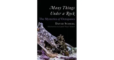 Many Things Under A Rock