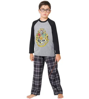Boys Harry Potter Hogwarts School Crest Raglan Kids Pajama Set