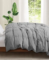 Unikome All Season 300 Thread Count Cotton Goose Down Fiber Comforter