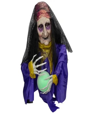 20" Lighted and Animated Fortune Teller Halloween Decoration