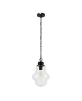 Hudson & Canal Annie 9.13" Glass Shade Wide Pendant