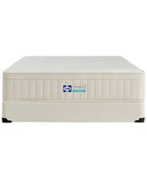Sealy Naturals Hybrid Soft Tight Top 13 Mattress Collection