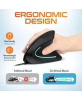 Delton Ergonomic 12 Usb Mouse